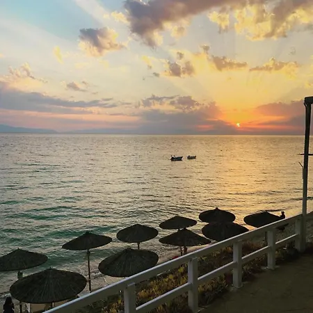 Efis Sunset